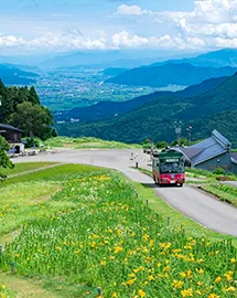 夏の景色