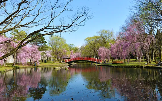 湯沢中央公園